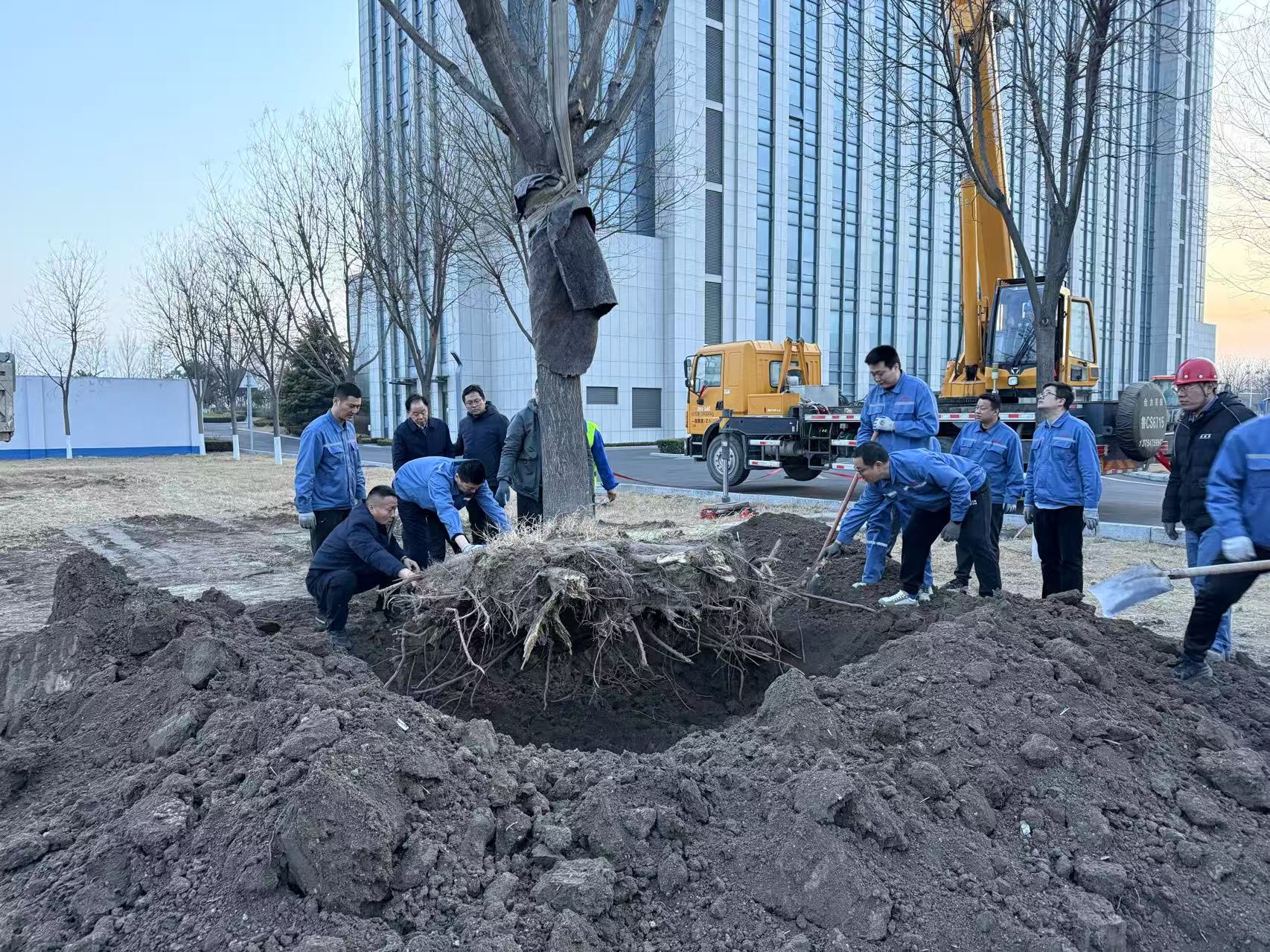 2025年3月1日JDB电子干部职工合力栽下新春第一树